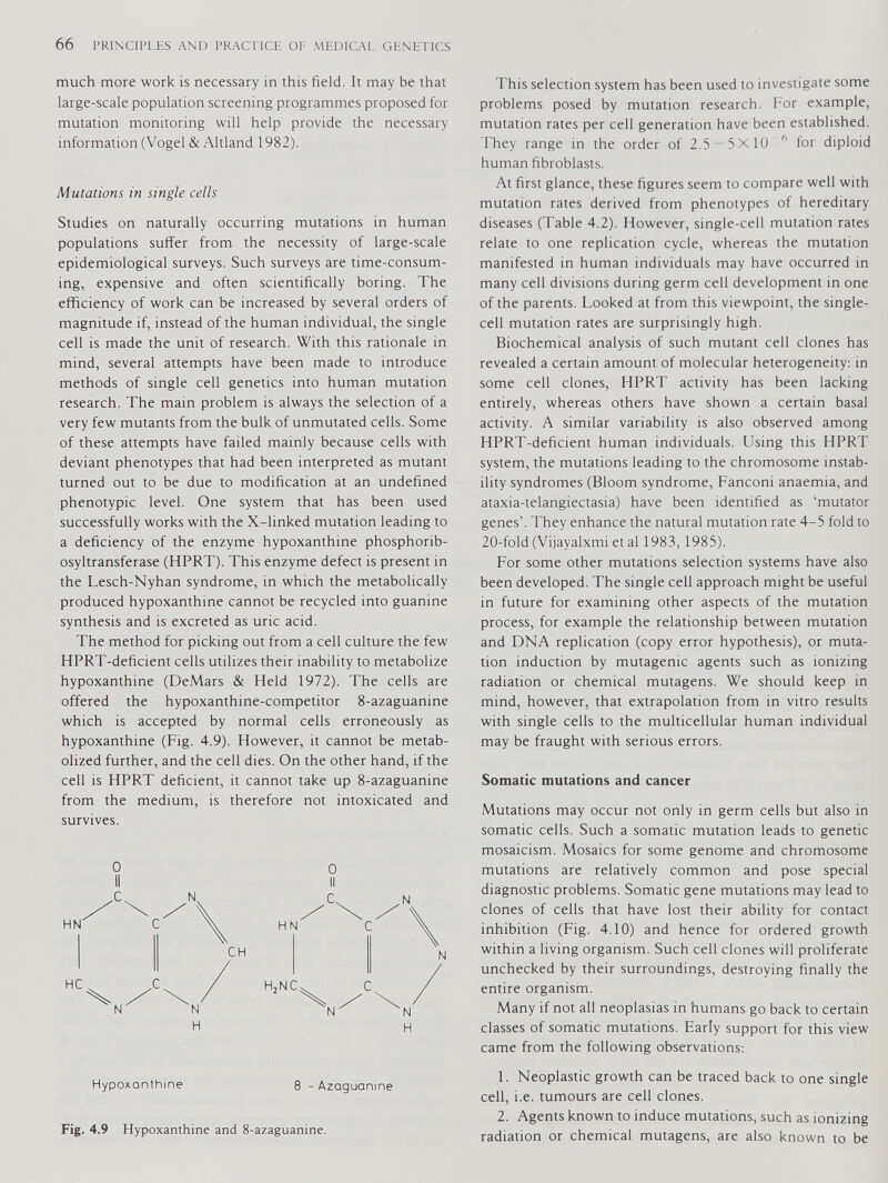 much more work is necessary in this field. It may be that large-scale population screening programmes proposed for mutation monitoring will help provide the necessary information (Vogel & Altland 1982). Mutations in single cells Studies on naturally occurring mutations in human populations suffer from the necessity of large-scale epidemiological surveys. Such surveys are time-consum ing, expensive and often scientifically boring. The efficiency of work can be increased by several orders of magnitude if, instead of the human individual, the single cell is made the unit of research. With this rationale in mind, several attempts have been made to introduce methods of single cell genetics into human mutation research. The main problem is always the selection of a very few mutants from the bulk of unmutated cells. Some of these attempts have failed mainly because cells with deviant phenotypes that had been interpreted as mutant turned out to be due to modification at an undefined phenotypic level. One system that has been used successfully works with the X-linked mutation leading to a deficiency of the enzyme hypoxanthine phosphorib- osyltransferase (HPRT). This enzyme defect is present in the Lesch-Nyhan syndrome, in which the metabolically produced hypoxanthine cannot be recycled into guanine synthesis and is excreted as uric acid. The method for picking out from a cell culture the few HPRT-deficient cells utilizes their inability to metabolize hypoxanthine (DeMars & Held 1972). The cells are offered the hypoxanthine-competitor 8-azaguamne which is accepted by normal cells erroneously as hypoxanthine (Fig. 4.9). However, it cannot be metab olized further, and the cell dies. On the other hand, if the cell is HPRT deficient, it cannot take up 8-azaguanine from the medium, is therefore not intoxicated and survives. Hypoxanthine 8 - Azaguamne Fig. 4.9 Hypoxanthine and 8-azaguanine. This selection system has been used to investigate some problems posed by mutation research. For example, mutation rates per cell generation have been established. They range in the order of 2.5^5X10 h for diploid human fibroblasts. At first glance, these figures seem to compare well with mutation rates derived from phenotypes of hereditary diseases (Table 4.2). However, single-cell mutation rates relate to one replication cycle, whereas the mutation manifested in human individuals may have occurred in many cell divisions during germ cell development in one of the parents. Looked at from this viewpoint, the single cell mutation rates are surprisingly high. Biochemical analysis of such mutant cell clones has revealed a certain amount of molecular heterogeneity: in some cell clones, HPRT activity has been lacking entirely, whereas others have shown a certain basal activity. A similar variability is also observed among HPRT-deficient human individuals. Using this HPRT system, the mutations leading to the chromosome instab ility syndromes (Bloom syndrome, Fanconi anaemia, and ataxia-telangiectasia) have been identified as ‘mutator genes'. They enhance the natural mutation rate 4-5 fold to 20-fold (Vijayalxmi et al 1983, 1985). For some other mutations selection systems have also been developed. The single cell approach might be useful in future for examining other aspects of the mutation process, for example the relationship between mutation and DNA replication (copy error hypothesis), or muta tion induction by mutagenic agents such as ionizing radiation or chemical mutagens. We should keep in mind, however, that extrapolation from in vitro results with single cells to the multicellular human individual may be fraught with serious errors. Somatic mutations and cancer Mutations may occur not only in germ cells but also in somatic cells. Such a somatic mutation leads to genetic mosaicism. Mosaics for some genome and chromosome mutations are relatively common and pose special diagnostic problems. Somatic gene mutations may lead to clones of cells that have lost their ability for contact inhibition (Fig. 4.10) and hence for ordered growth within a living organism. Such cell clones will proliferate unchecked by their surroundings, destroying finally the entire organism. Many if not all neoplasias in humans go back to certain classes of somatic mutations. Early support for this view came from the following observations: 1. Neoplastic growth can be traced back to one single cell, i.e. tumours are cell clones. 2. Agents known to induce mutations, such as ionizing radiation or chemical mutagens, are also known to be