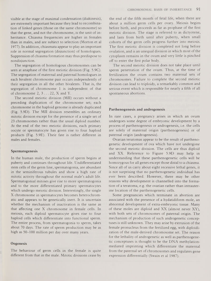visible at the stage of maximal condensation (diakinesis), are extremely important because they lead to recombina tion of linked genes (those on the same chromosome) so that the gene, and not the chromosome, is the unit of in heritance. Chiasma frequencies are higher in females than in males, and are subject to selection (Morton et al 1977). In addition, chiasmata appear to play an important role in normal segregation (disjunction) of homologues. Suppression of chiasma formation may thus predispose to nondisjunction. The segregation of homologous chromosomes can be seen at anaphase of the first meiotic division (Fig. 5.9C). The segregation of maternal and paternal homologues in each bivalent chromosome pair occurs independently of their segregation in all the other bivalents. That is, the segregation of chromosome 1 is independent of that of chromosome 2, 3 ... 22, X and Y. The second meiotic division (Mil) occurs without a preceding duplication of the chromosome set; each chromosome in the haploid genome is already duplicated (Fig. 5.9D). The Mil division resembles an ordinary mitotic division except for the presence of a single set of 23 chromosomes rather than the usual diploid number. At the end of the two meiotic divisions, each primary oocyte or spermatocyte has given rise to four haploid products (Fig. 5.9E). Their fate is rather different in males and females. Spermatogenesis In the human male, the production of sperm begins at puberty and continues throughout life. Undifferentiated stem cells of the germ line, spermatogonia, are abundant in the seminiferous tubules and show a high rate of mitotic activity throughout the normal male’s adult life. Spermatogonial mitoses give rise to more spermatogonia and to the more differentiated primary spermatocytes which undergo meiotic division. Interestingly, the single X chromosome in spermatocytes becomes heterochrom- atic and appears to be genetically inert. It is uncertain whether the mechanism of inactivation is the same as that affecting one X chromosome in female cells. In meiosis, each diploid spermatocyte gives rise to four haploid cells which differentiate into functional sperm. The entire process, from spermatogonia to sperm, takes about 70 days. The rate of sperm production may be as high as 50-100 million per day over many years. Oogenesis The behaviour of germ cells in the female is quite different from that in the male. Mitotic divisions cease by the end of the fifth month of fetal life, when there are about a million germ cells per ovary. Meiosis begins before birth, and proceeds as far as prophase of the first meiotic division. The stage is referred to as dictyotene, and lasts from birth until after puberty, when small cohorts of the germ cells progress further into meiosis. The first meiotic division is completed not long before ovulation, and is an unequal division in which most of the cytoplasm remains in the ovum and very little is pinched off to enter the first polar body. The second meiotic division does not take place until sperm penetration of the ovum. Thus, at the time of fertilization the ovum contains two maternal sets of chromosomes. Failure to complete the second meiotic division can lead to triploidy, a remarkably common and serious event which is responsible for nearly a fifth of all spontaneous abortions. Parthenogenesis and androgenesis In rare cases, a pregnancy arises in which an ovum undergoes some degree of embryonic development by a process of parthenogenesis or androgenesis, i.e. the cells are solely of maternal origin (parthenogenesis) or of paternal origin (androgenesis). Ovarian teratomas appear to be the result of partheno- genetic development of ova which have not undergone the second meiotic division. The cells are thus diploid and XX. Reference to Figure 5.9D may help in understanding that these parthenogenetic cells will be homozygous for all genes except those distal to a chiasma. Since all of us carry about eight recessive lethal genes, it is not surprising that no parthenogenetic individual has ever been described. However, there may be other reasons why development is channelled into the forma tion of a teratoma, e.g. the ovarian rather than intrauter ine location of the parthenogenetic cells. Some pregnancies which terminate in abortion are associated with the presence of a hydatidiform mole, an abnormal development of extra-embryonic tissue. Many of these moles are diploid and XX (almost never XY), with both sets of chromosomes of paternal origin. The mechanism of production of such androgenetic concep- tuses is still unknown. They may arise by extrusion of the female pronucleus from the fertilized egg, with diploidi- zation of the male-derived chromosome set. The reason for the lethality of androgenetic as well as parthenogene tic conceptuses is thought to be the DNA methylation- mediated imprinting which differentiate the maternal from the paternal set of chromosomes and regulates gene expression differentially (Swain et al 1987).