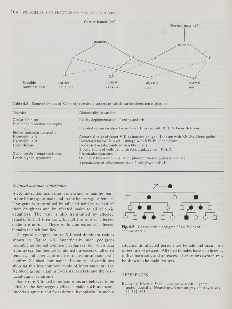Possible combinations: Carrier female ( xX) Table 6.5 Some examples of X-linked recessive disorders in which carrier detection is possible Disorder Abnormality in carriers Ocular albinism Duchenne muscular dystrophy and Becker muscular dystrophy Haemophilia A Haemophilia B Fabry disease Oculo-cerebro-renal syndrome Lesch-Nyhan syndrome Patchy depigmentation of retina and iris. Elevated serum creatine kinase level. Linkage with RFLPs. Gene deletion. Abnormal ratio of factor VIII to inactive antigen. Linkage with RFLPs. Gene probe. Decreased factor IX level. Linkage with RFLPs. Gene probe. Decreased a-galactoside in skin fibroblasts. 2 populations of cells demonstrable. Linkage with RFLP. ? lenticular opacities. Decreased hypoxanthine-guanine phosphoribosyl transferase activity. 2 populations of cells demonstrable. Linkage with RFLP. X-linked dominant inheritance An X-linked dominant trait is one which is manifest both in the hemizygous male and in the heterozygous female. The gene is transmitted by affected females to half of their daughters and by affected males to all of their daughters. The trait is also transmitted by affected females to half their sons, but all the sons of affected males are normal. There is thus an excess of affected females in such families. A typical pedigree for an X-linked dominant trait is shown in Figure 6.9. Superficially such pedigrees resemble autosomal dominant pedigrees, but when data from several families are combined the excess of affected females, and absence of male to male transmission, will confirm X-linked dominance. Examples of conditions showing this less common mode of inheritance are the Xg blood group, vitamin D-resistant rickets and the oral- facial-digital syndrome. Some rare X-linked dominant traits are believed to be lethal in the hemizygous affected male, such as incon tinentia pigmenti and focal dermal hypoplasia. In such a Fig. 6.9 Characteristic pedigree of an X-linked dominant trait. situation all affected persons are female and occur in a direct line of descent. Affected females have a deficiency of live-born sons and an excess of abortions (which may be shown to be male fetuses). REFERENCES Bundey S, Evans K 1969 Tuberous sclerosis; a genetic study. Journal of Neurology, Neurosurgery and Psychiatry 32: 591-603