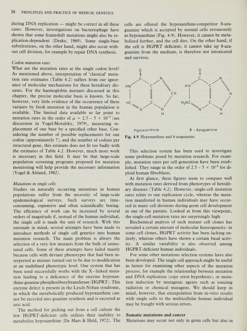 during DNA replication — might be correct in all these cases. However, investigations on bacteriophage have shown that some frameshift mutations might also be re- plication-dependent (Drake, 1969). Some single-base substitutions, on the other hand, might also occur with out cell division, for example by repair DNA synthesis. Codon mutation rates What are the mutation rates at the single codon level? As mentioned above, interpretation of ‘classical’ muta tion rate estimates (Table 4.2) suffers from our ignor ance of molecular mechanisms for these hereditary dis eases. For the haemoglobin mutants discussed in this chapter, the precise molecular basis is known. So far, however, very little evidence of the occurrence of these variants by fresh mutation in the human population is available. The limited data available so far point to mutation rates in the order of ¡i = 2.5 - 5 x 10 -9 (see discussion in Vogel/Motulsky, 1979), measuring re placement of one base by a specified other base. Con sidering the number of possible replacements for one codon (approximately 7), and the number of codons per structural gene, this estimate does not fit too badly with the estimates of Table 4.2. However, much more work is necessary in this field. It may be that large-scale population screening programs proposed for mutation monitoring will help provide the necessary information (Vogel & Altland, 1982). Mutations in single cells Studies on naturally occurring mutations in human populations suffer from the necessity of large-scale epidemiological surveys. Such surveys are time- consuming, expensive and often scientifically boring. The efficiency of work can be increased by several orders of magnitude if, instead of the human individual, the single cell is made the unit of research. With this rationale in mind, several attempts have been made to introduce methods of single cell genetics into human mutation research. The main problem is always the selection of a very few mutants from the bulk of unmu tated cells. Some of these attempts have failed mainly because cells with deviant phenotypes that had been in terpreted as mutant turned out to be due to modification at an undefined phenotypic level. One system that has been used successfully works with the X-linked muta tion leading to a deficiency of the enzyme hypoxan- thine-guanine phosphoribosyltransferase (HGPRT). This enzyme defect is present in the Lesch-Nyhan syndrome, in which the metabolically produced hypoxanthine can not be recycled into guanine synthesis and is excreted as uric acid. The method for picking out from a cell culture the few HGPRT-deficient cells utilizes their inability to metabolize hypoxanthine (De Mars & Held, 1972). The cells are offered the hypoxanthine-competitor 8-aza- guanine which is accepted by normal cells erroneously as hypoxanthine (Fig. 4.9). However, it cannot be meta bolized further, and the cell dies. On the other hand, if the cell is HGPRT deficient, it cannot take up 8-aza- guanine from the medium, is therefore not intoxicated and survives. 0 0 11 H H H Hypoxanthine 8 -Azaguanine Fig. 4.9 Hypoxanthine and 8-azaguanine. This selection system has been used to investigate some problems posed by mutation research. For exam ple, mutation rates per cell generation have been estab lished. They range in the order of 2.5 - 5 x 10 -6 for di ploid human fibroblasts. At first glance, these figures seem to compare well with mutation rates derived from phenotypes of heredit ary diseases (Table 4.2). However, single-cell mutation rates relate to one replication cycle, whereas the muta tion manifested in human individuals may have occur red in many cell divisions during germ cell development in one of the parents. Looked at from this viewpoint, the single-cell mutation rates are surprisingly high. Biochemical analysis of such mutant cell clones has revealed a certain amount of molecular heterogeneity: in some cell clones, HGPRT activity has been lacking en tirely, whereas others have shown a certain basal activ ity. A similar variability is also observed among HGPRT-deficient human individuals. For some other mutations selection systems have also been developed. The single cell approach might be useful in future for examining other aspects of the mutation process, for example the relationship between mutation and DNA replication (copy error hypothesis), or muta tion induction by mutagenic agents such as ionizing radiation or chemical mutagens. We should keep in mind, however, that extrapolation from in-vitro results with single cells to the multicellular human individual may be fraught with serious errors. Somatic mutations and cancer Mutations may occur not only in germ cells but also in