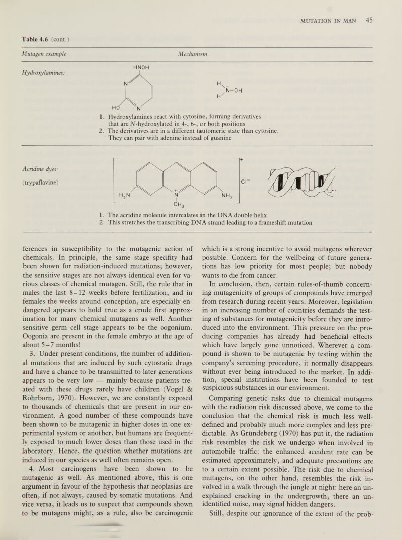 Table 4.6 (com.) Mutagen example Mechanism Hydroxylamines: HNOH 1. Hydroxylamines react with cytosine, forming derivatives that are A/-hydroxylated in 4-, 6-, or both positions 2. The derivatives are in a different tautomeric state than cytosine. They can pair with adenine instead of guanine Acridine dyes: (trvpaflavine) CH 3 1. The acridine molecule intercalates in the DNA double helix 2. This stretches the transcribing DNA strand leading to a frameshift mutation ferences in susceptibility to the mutagenic action of chemicals. In principle, the same stage specifity had been shown for radiation-induced mutations; however, the sensitive stages are not always identical even for va rious classes of chemical mutagen. Still, the rule that in males the last 8-12 weeks before fertilization, and in females the weeks around conception, are especially en dangered appears to hold true as a crude first approx imation for many chemical mutagens as well. Another sensitive germ cell stage appears to be the oogonium. Oogonia are present in the female embryo at the age of about 5-7 months! 3. Under present conditions, the number of addition al mutations that are induced by such cytostatic drugs and have a chance to be transmitted to later generations appears to be very low — mainly because patients tre ated with these drugs rarely have children (Vogel & Rohrborn, 1970). However, we are constantly exposed to thousands of chemicals that are present in our en vironment. A good number of these compounds have been shown to be mutagenic in higher doses in one ex perimental system or another, but humans are frequent ly exposed to much lower doses than those used in the laboratory. Hence, the question whether mutations are induced in our species as well often remains open. 4. Most carcinogens have been shown to be mutagenic as well. As mentioned above, this is one argument in favour of the hypothesis that neoplasias are often, if not always, caused by somatic mutations. And vice versa, it leads us to suspect that compounds shown to be mutagens might, as a rule, also be carcinogenic which is a strong incentive to avoid mutagens wherever possible. Concern for the wellbeing of future genera tions has low priority for most people; but nobody wants to die from cancer. In conclusion, then, certain rules-of-thumb concern ing mutagenicity of groups of compounds have emerged from research during recent years. Moreover, legislation in an increasing number of countries demands the test ing of substances for mutagenicity before they are intro duced into the environment. This pressure on the pro ducing companies has already had beneficial effects which have largely gone unnoticed. Wherever a com pound is shown to be mutagenic by testing within the company’s screening procedure, it normally disappears without ever being introduced to the market. In addi tion, special institutions have been founded to test suspicious substances in our environment. Comparing genetic risks due to chemical mutagens with the radiation risk discussed above, we come to the conclusion that the chemical risk is much less well- defined and probably much more complex and less pre dictable. As Griindeberg (1970) has put it, the radiation risk resembles the risk we undergo when involved in automobile traffic: the enhanced accident rate can be estimated approximately, and adequate precautions are to a certain extent possible. The risk due to chemical mutagens, on the other hand, resembles the risk in volved in a walk through the jungle at night: here an un explained cracking in the undergrowth, there an un identified noise, may signal hidden dangers. Still, despite our ignorance of the extent of the prob