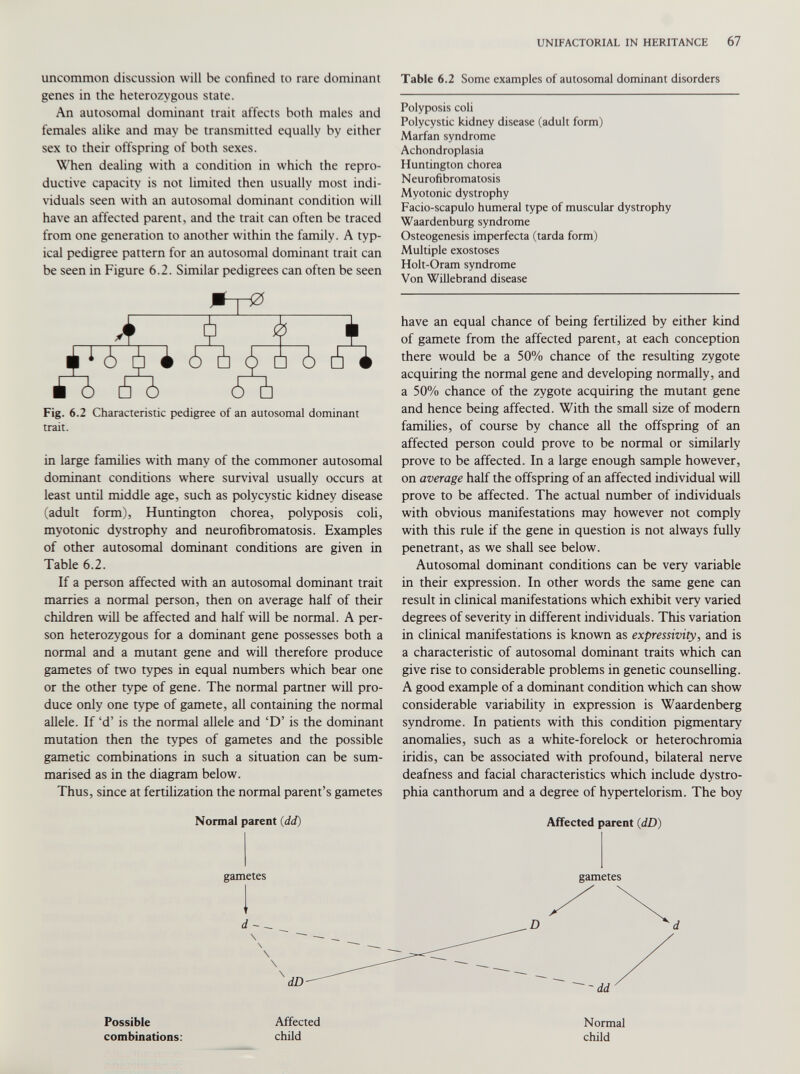 uncommon discussion will be confined to rare dominant genes in the heterozygous state. An autosomal dominant trait affects both males and females alike and may be transmitted equally by either sex to their offspring of both sexes. When dealing with a condition in which the repro ductive capacity is not limited then usually most indi viduals seen with an autosomal dominant condition will have an affected parent, and the trait can often be traced from one generation to another within the family. A typ ical pedigree pattern for an autosomal dominant trait can be seen in Figure 6.2. Similar pedigrees can often be seen , A' + i 1 A A A £□ □ i fii ■ S 66 < 5 n Fig. 6.2 Characteristic pedigree of an autosomal dominant trait. in large families with many of the commoner autosomal dominant conditions where survival usually occurs at least until middle age, such as polycystic kidney disease (adult form), Huntington chorea, polyposis coli, myotonic dystrophy and neurofibromatosis. Examples of other autosomal dominant conditions are given in Table 6.2. If a person affected with an autosomal dominant trait marries a normal person, then on average half of their children will be affected and half will be normal. A per son heterozygous for a dominant gene possesses both a normal and a mutant gene and will therefore produce gametes of two types in equal numbers which bear one or the other type of gene. The normal partner will pro duce only one type of gamete, all containing the normal allele. If ‘d’ is the normal allele and ‘D’ is the dominant mutation then the types of gametes and the possible gametic combinations in such a situation can be sum marised as in the diagram below. Thus, since at fertilization the normal parent’s gametes Normal parent ( dd) Table 6.2 Some examples of autosomal dominant disorders Polyposis coli Polycystic kidney disease (adult form) Marfan syndrome Achondroplasia Huntington chorea Neurofibromatosis Myotonic dystrophy Facio-scapulo humeral type of muscular dystrophy Waardenburg syndrome Osteogenesis imperfecta (tarda form) Multiple exostoses Holt-Oram syndrome Von Willebrand disease have an equal chance of being fertilized by either kind of gamete from the affected parent, at each conception there would be a 50% chance of the resulting zygote acquiring the normal gene and developing normally, and a 50% chance of the zygote acquiring the mutant gene and hence being affected. With the small size of modern families, of course by chance all the offspring of an affected person could prove to be normal or similarly prove to be affected. In a large enough sample however, on average half the offspring of an affected individual will prove to be affected. The actual number of individuals with obvious manifestations may however not comply with this rule if the gene in question is not always fully penetrant, as we shall see below. Autosomal dominant conditions can be very variable in their expression. In other words the same gene can result in clinical manifestations which exhibit very varied degrees of severity in different individuals. This variation in clinical manifestations is known as expressivity, and is a characteristic of autosomal dominant traits which can give rise to considerable problems in genetic counselling. A good example of a dominant condition which can show considerable variability in expression is Waardenberg syndrome. In patients with this condition pigmentary anomalies, such as a white-forelock or heterochromia iridis, can be associated with profound, bilateral nerve deafness and facial characteristics which include dystro phia canthorum and a degree of hypertelorism. The boy Affected parent (dD) Possible combinations: Affected child Normal child