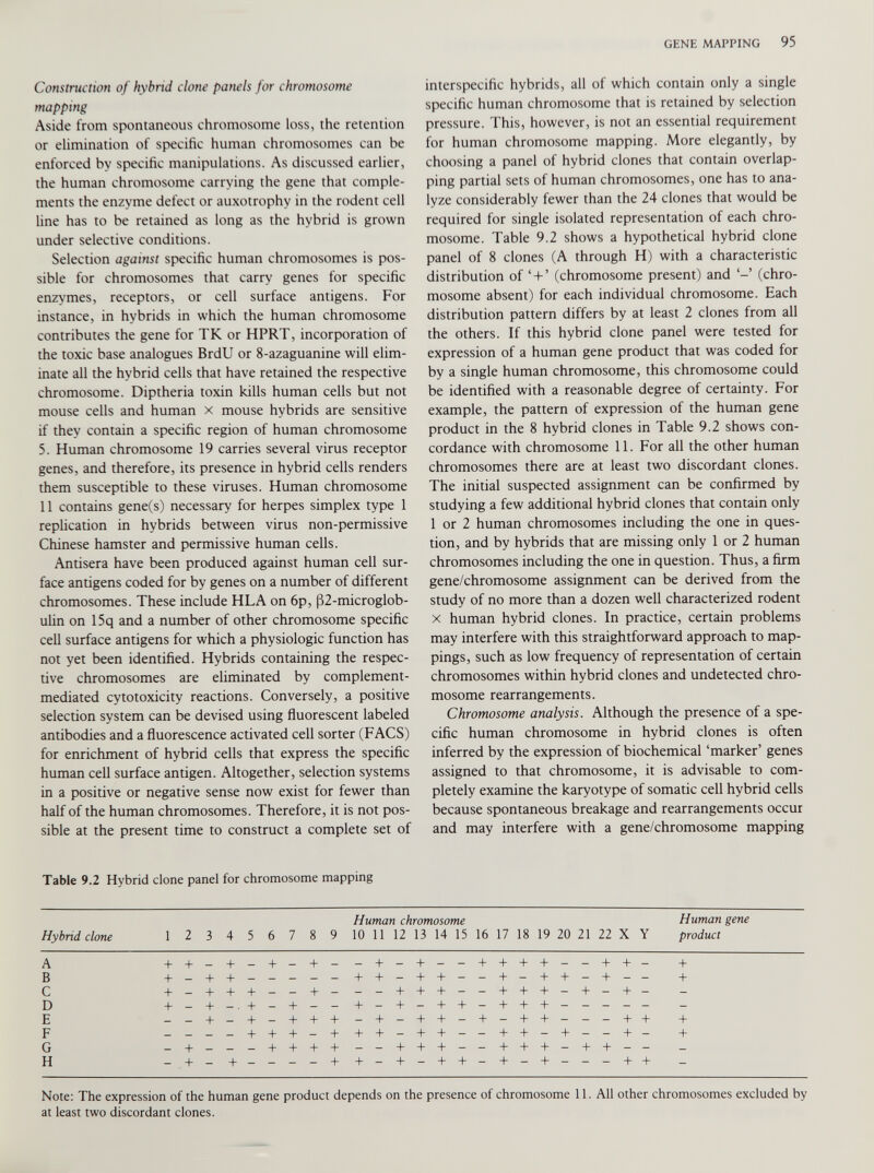 Construction of hybrid clone panels for chromosome mapping Aside from spontaneous chromosome loss, the retention or elimination of specific human chromosomes can be enforced by specific manipulations. As discussed earlier, the human chromosome carrying the gene that comple ments the enzyme defect or auxotrophy in the rodent cell line has to be retained as long as the hybrid is grown under selective conditions. Selection against specific human chromosomes is pos sible for chromosomes that carry genes for specific enzymes, receptors, or cell surface antigens. For instance, in hybrids in which the human chromosome contributes the gene for TK or HPRT, incorporation of the toxic base analogues BrdU or 8-azaguanine will elim inate all the hybrid cells that have retained the respective chromosome. Diptheria toxin kills human cells but not mouse cells and human x mouse hybrids are sensitive if they contain a specific region of human chromosome 5. Human chromosome 19 carries several virus receptor genes, and therefore, its presence in hybrid cells renders them susceptible to these viruses. Human chromosome 11 contains gene(s) necessary for herpes simplex type 1 replication in hybrids between virus non-permissive Chinese hamster and permissive human cells. Antisera have been produced against human cell sur face antigens coded for by genes on a number of different chromosomes. These include HLA on 6p, (32-microglob- ulin on 15q and a number of other chromosome specific cell surface antigens for which a physiologic function has not yet been identified. Hybrids containing the respec tive chromosomes are eliminated by complement- mediated cytotoxicity reactions. Conversely, a positive selection system can be devised using fluorescent labeled antibodies and a fluorescence activated cell sorter (FACS) for enrichment of hybrid cells that express the specific human cell surface antigen. Altogether, selection systems in a positive or negative sense now exist for fewer than half of the human chromosomes. Therefore, it is not pos sible at the present time to construct a complete set of Table 9.2 Hybrid clone panel for chromosome mapping interspecific hybrids, all of which contain only a single specific human chromosome that is retained by selection pressure. This, however, is not an essential requirement for human chromosome mapping. More elegantly, by choosing a panel of hybrid clones that contain overlap ping partial sets of human chromosomes, one has to ana lyze considerably fewer than the 24 clones that would be required for single isolated representation of each chro mosome. Table 9.2 shows a hypothetical hybrid clone panel of 8 clones (A through H) with a characteristic distribution of * + ’ (chromosome present) and (chro mosome absent) for each individual chromosome. Each distribution pattern differs by at least 2 clones from all the others. If this hybrid clone panel were tested for expression of a human gene product that was coded for by a single human chromosome, this chromosome could be identified with a reasonable degree of certainty. For example, the pattern of expression of the human gene product in the 8 hybrid clones in Table 9.2 shows con cordance with chromosome 11. For all the other human chromosomes there are at least two discordant clones. The initial suspected assignment can be confirmed by studying a few additional hybrid clones that contain only 1 or 2 human chromosomes including the one in ques tion, and by hybrids that are missing only 1 or 2 human chromosomes including the one in question. Thus, a firm gene/chromosome assignment can be derived from the study of no more than a dozen well characterized rodent x human hybrid clones. In practice, certain problems may interfere with this straightforward approach to map pings, such as low frequency of representation of certain chromosomes within hybrid clones and undetected chro mosome rearrangements. Chromosome analysis. Although the presence of a spe cific human chromosome in hybrid clones is often inferred by the expression of biochemical ‘marker’ genes assigned to that chromosome, it is advisable to com pletely examine the karyotype of somatic cell hybrid cells because spontaneous breakage and rearrangements occur and may interfere with a gene/chromosome mapping Hybrid clone 1 2 3 4 5 6 7 8 9 Human chromosome 10 11 12 13 14 15 16 17 18 19 20 21 22 X Y Human gene product A + + _ + _ + — + — — + — + _ - + + + + — — + + _ + B + - + + - - - - - + + - + + - - + - + + - + - - + C + — + + + - - + - - - + + + - - + + + - + - + — _ D + - + - . + - + - - + - + - + + - + + + — E - - + - + - + + + - + - + + - + - + + - - - + + + F - - - - + + + - + + + - + + - - + + - + - - + - + G - + — - - + + + + - - + + + - - + + + - + + - - _ H - + - + - - - - + + - + - + + - + - + - - - + + _ Note: The expression of the human gene product depends on the presence of chromosome 11. All other chromosomes excluded by at least two discordant clones.