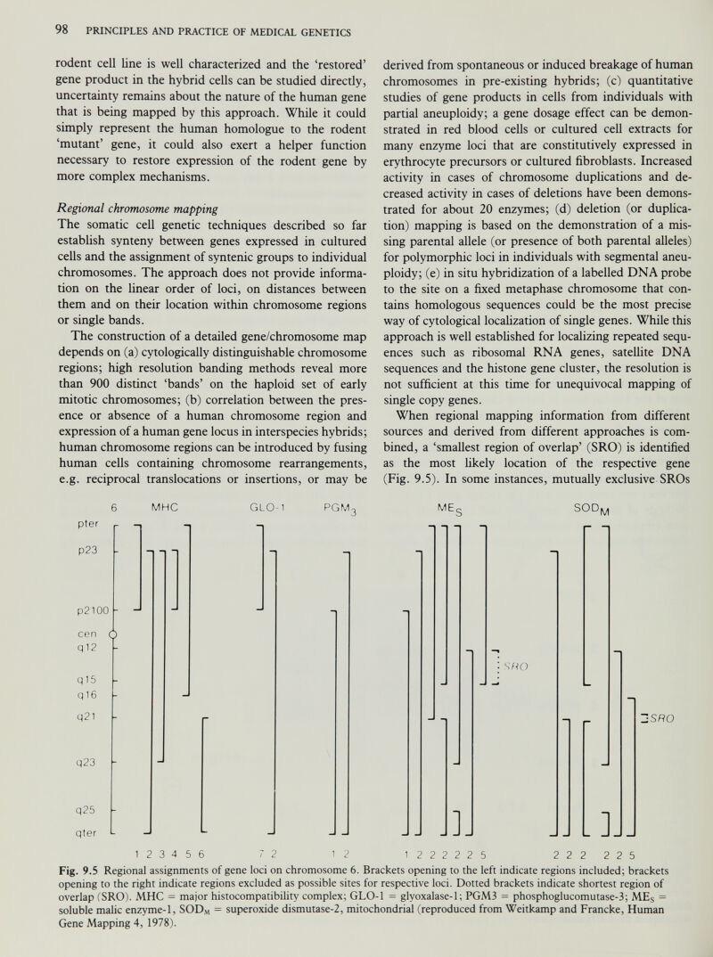 rodent cell line is well characterized and the ‘restored’ gene product in the hybrid cells can be studied directly, uncertainty remains about the nature of the human gene that is being mapped by this approach. While it could simply represent the human homologue to the rodent ‘mutant’ gene, it could also exert a helper function necessary to restore expression of the rodent gene by more complex mechanisms. Regional chromosome mapping The somatic cell genetic techniques described so far establish synteny between genes expressed in cultured cells and the assignment of syntenic groups to individual chromosomes. The approach does not provide informa tion on the linear order of loci, on distances between them and on their location within chromosome regions or single bands. The construction of a detailed gene/chromosome map depends on (a) cytologically distinguishable chromosome regions; high resolution banding methods reveal more than 900 distinct ‘bands’ on the haploid set of early mitotic chromosomes; (b) correlation between the pres ence or absence of a human chromosome region and expression of a human gene locus in interspecies hybrids; human chromosome regions can be introduced by fusing human cells containing chromosome rearrangements, e.g. reciprocal translocadons or insertions, or may be derived from spontaneous or induced breakage of human chromosomes in pre-existing hybrids; (c) quantitative studies of gene products in cells from individuals with partial aneuploidy; a gene dosage effect can be demon strated in red blood cells or cultured cell extracts for many enzyme loci that are constitutively expressed in erythrocyte precursors or cultured fibroblasts. Increased activity in cases of chromosome duplications and de creased activity in cases of deletions have been demons trated for about 20 enzymes; (d) deletion (or duplica tion) mapping is based on the demonstration of a mis sing parental allele (or presence of both parental alleles) for polymorphic loci in individuals with segmental aneu ploidy; (e) in situ hybridization of a labelled DNA probe to the site on a fixed metaphase chromosome that con tains homologous sequences could be the most precise way of cytological localization of single genes. While this approach is well established for localizing repeated sequ ences such as ribosomal RNA genes, satellite DNA sequences and the histone gene cluster, the resolution is not sufficient at this time for unequivocal mapping of single copy genes. When regional mapping information from different sources and derived from different approaches is com bined, a ‘smallest region of overlap’ (SRO) is identified as the most likely location of the respective gene (Fig. 9.5). In some instances, mutually exclusive SROs MHC GLO-1 PGM. ME. SOD pter p23 p2100 cen ( q12 q 15 q 16 q21 q23 q25 qter L M J]J SRO ]J 2SRO 2 3 4 5 6 1 2 1 2 2 2 2 2 5 2 2 2 2 2 5 Fig. 9.5 Regional assignments of gene loci on chromosome 6. Brackets opening to the left indicate regions included; brackets opening to the right indicate regions excluded as possible sites for respective loci. Dotted brackets indicate shortest region of overlap (SRO). MHC = major histocompatibility complex; GLO-1 = glyoxalase-1; PGM3 = phosphoglucomutase-3; ME S = soluble malic enzyme-1, SOD M = superoxide dismutase-2, mitochondrial (reproduced from Weitkamp and Francke, Human Gene Mapping 4, 1978).