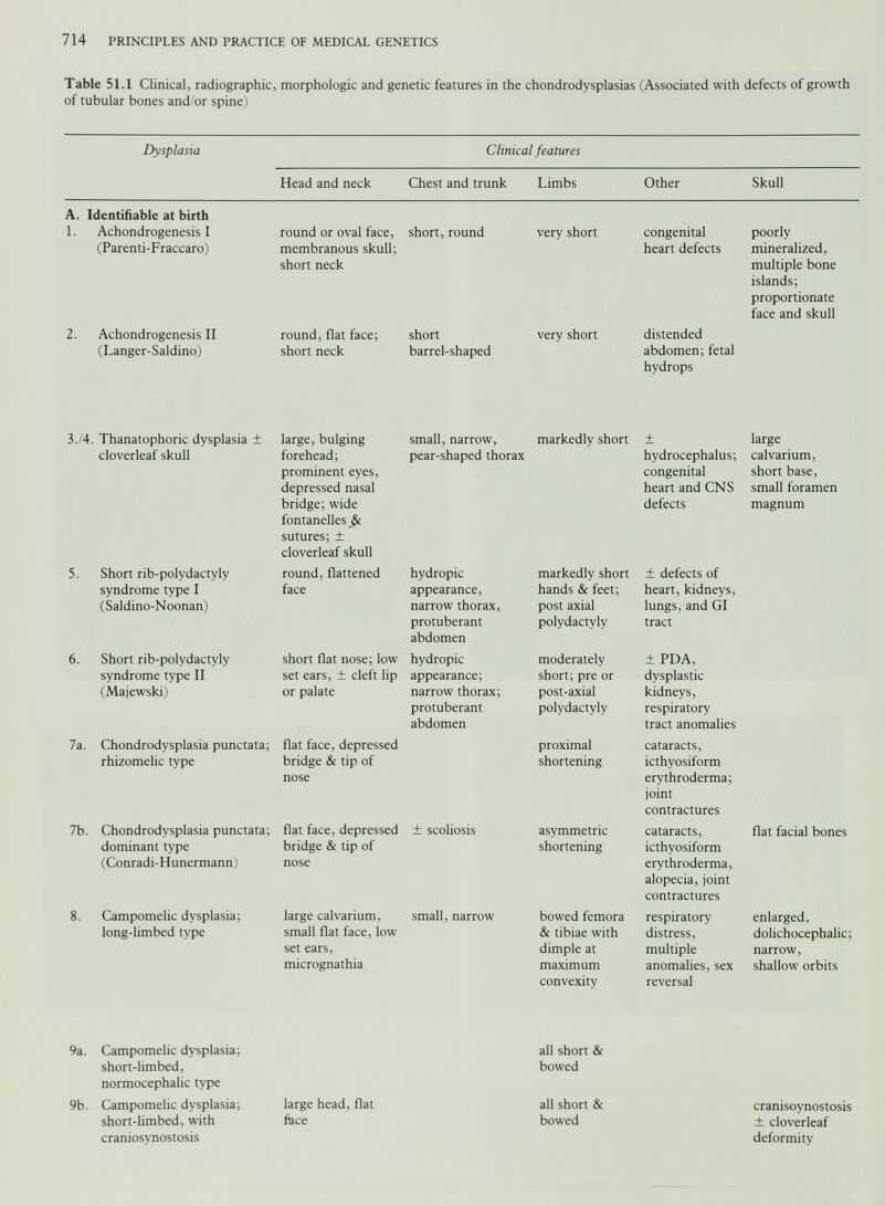 Table 51.1 Clinical, radiographic, morphologic and genetic features in the chondrodysplasias (Associated with defects of growth of tubular bones and/or spine) Dysplasia Clinical features Head and neck Chest and trunk Limbs Other Skull A. Identifiable at birth 1. Achondrogenesis I round or oval face, short, round very short congenital poorly (Parenti-Fraccaro) membranous skull; heart defects mineralized, short neck multiple bone islands; proportionate face and skull 2. Achondrogenesis II round, flat face; short very short distended (Langer-Saldino) short neck barrel-shaped abdomen; fetal hydrops 3./4. Thanatophoric dysplasia ± large, bulging small, narrow, markedly short ± large cloverleaf skull forehead; pear-shaped thorax hydrocephalus; calvarium, prominent eyes, congenital short base, depressed nasal heart and CNS small foramen bridge; wide fontanelles & sutures; ± cloverleaf skull defects magnum 5. Short rib-polydactyly round, flattened hydropic markedly short ± defects of syndrome type I face appearance, hands & feet; heart, kidneys, (Saldino-Noonan) narrow thorax, post axial lungs, and GI protuberant abdomen polydactyly tract 6. Short rib-polydactyly short flat nose; low hydropic moderately ± PDA, syndrome type II set ears, ± cleft lip appearance; short; pre or dysplastic (Majewski) or palate narrow thorax; post-axial kidneys, protuberant polydactyly respiratory abdomen tract anomalies 7a. Chondrodysplasia punctata; flat face, depressed proximal cataracts, rhizomelic type bridge & tip of shortening icthyosiform nose erythroderma; joint contractures 7b. Chondrodysplasia punctata; flat face, depressed ± scoliosis asymmetric cataracts, flat facial bones dominant type bridge & tip of shortening icthyosiform (Conradi-Hunermann) nose erythroderma, alopecia, joint contractures 8. Campomelic dysplasia; large calvarium, small, narrow bowed femora respiratory enlarged, long-limbed type small flat face, low & tibiae with distress, dolichocephalic; set ears, dimple at multiple narrow, micrognathia maximum anomalies, sex shallow orbits convexity reversal 9a. Campomelic dysplasia; all short & short-limbed, normocephalic type bowed 9b. Campomelic dysplasia; large head, flat all short & cranisoynostosis short-limbed, with face bowed ± cloverleaf craniosynostosis deformity