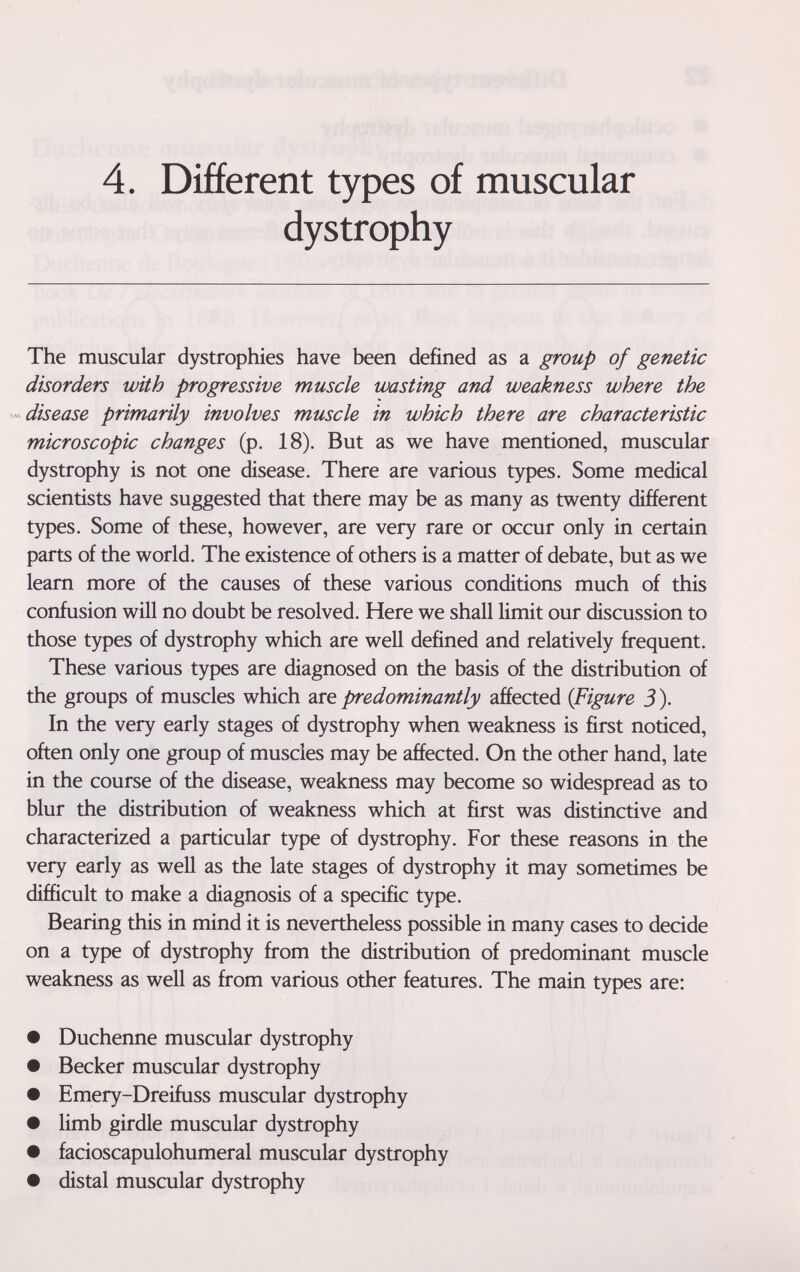 4, Different types of muscular dystrophy The muscular dystrophies have been defined as a group of genetic disorders with progressive muscle wasting and weakness where the disease primarily involves muscle in which there are characteristic microscopic changes (p. 18). But as we have mentioned, muscular dystrophy is not one disease. There are various types. Some medical scientists have suggested that there may be as many as twenty different types. Some of these, however, are very rare or occur only in certain parts of the world. The existence of others is a matter of debate, but as we learn more of the causes of these various conditions much of this confusion will no doubt be resolved. Here we shall limit our discussion to those types of dystrophy which are well defined and relatively frequent. These various types are diagnosed on the basis of the distribution of the groups of muscles which are predominantly affected {Figure 3 ). In the very early stages of dystrophy when weakness is first noticed, often only one group of muscles may be affected. On the other hand, late in the course of the disease, weakness may become so widespread as to blur the distribution of weakness which at first was distinctive and characterized a particular type of dystrophy. For these reasons in the very early as well as the late stages of dystrophy it may sometimes be difficult to make a diagnosis of a specific type. Bearing this in mind it is nevertheless possible in many cases to decide on a type of dystrophy from the distribution of predominant muscle weakness as well as from various other features. The main types are: • Duchenne muscular dystrophy • Becker muscular dystrophy • Emery-Dreifuss muscular dystrophy • limb girdle muscular dystrophy • facioscapulohumeral muscular dystrophy • distal muscular dystrophy