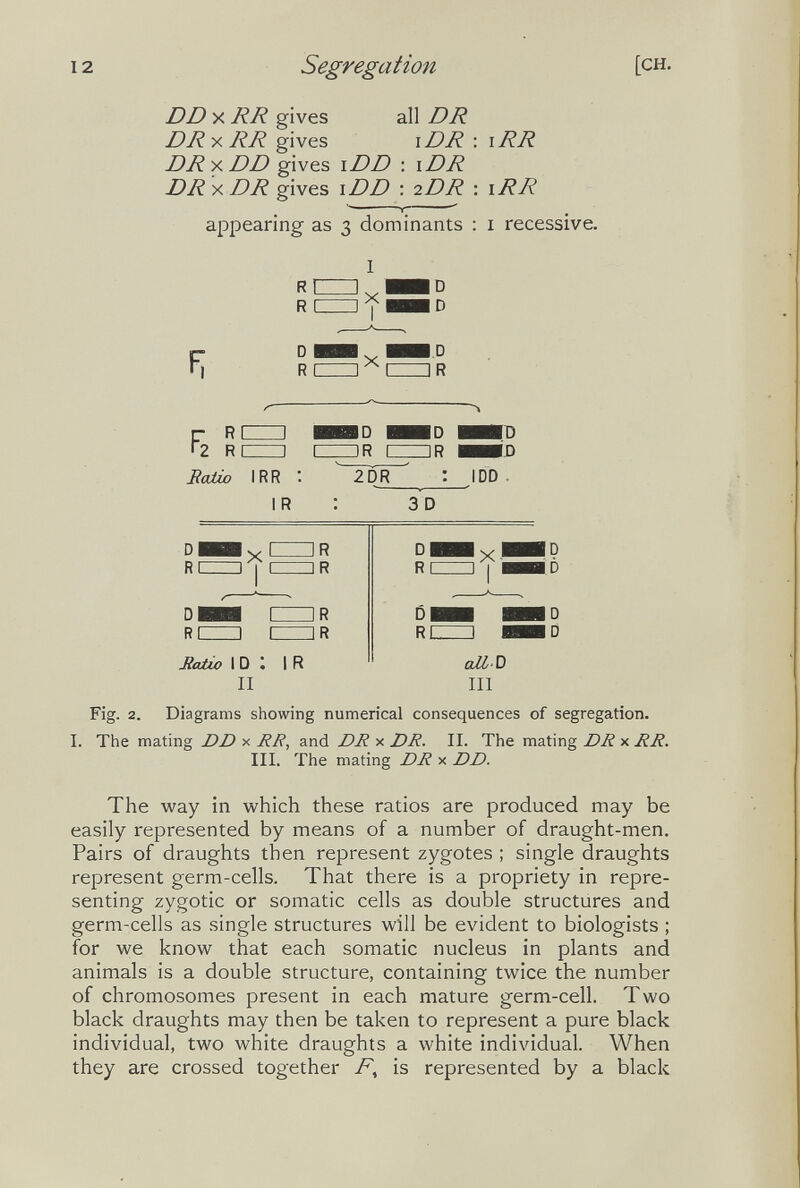 12 Segregation [CH. DD X RR gives all DR DR X RR gives i DR : i RR DR-X.DD gives \DD : \DR DR X DR gives \DD : 2DR : iRR appearing as 3 dominants : i recessive. I г RI I HBD HID ШШШ '2 R I 1 I IR I IR HMD Jíaíio IRR : ^~2PR~^ : IDD IR : 3D Jtaiio I D II IR DI R С DI RL x! III ID ID ID ID Fig. 2. Diagrams showing numerical consequences of segregation. I. The mating DD x RR, and DR x DR. II. The mating DR x RR. III. The mating DR x DD. The way in which these ratios are produced may be easily represented by means of a number of draught-men. Pairs of draughts then represent zygotes ; single draughts represent germ-cells. That there is a propriety in repre¬ senting zygotic or somatic cells as double structures and germ-cells as single structures will be evident to biologists ; for we know that each somatic nucleus in plants and animals is a double structure, containing twice the number of chromosomes present in each mature germ-cell. Two black draughts may then be taken to represent a pure black individual, two white draughts a white individual. When they are crossed together is represented by a black