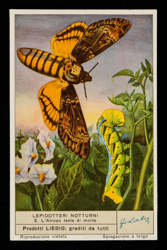 No text description is available for this image