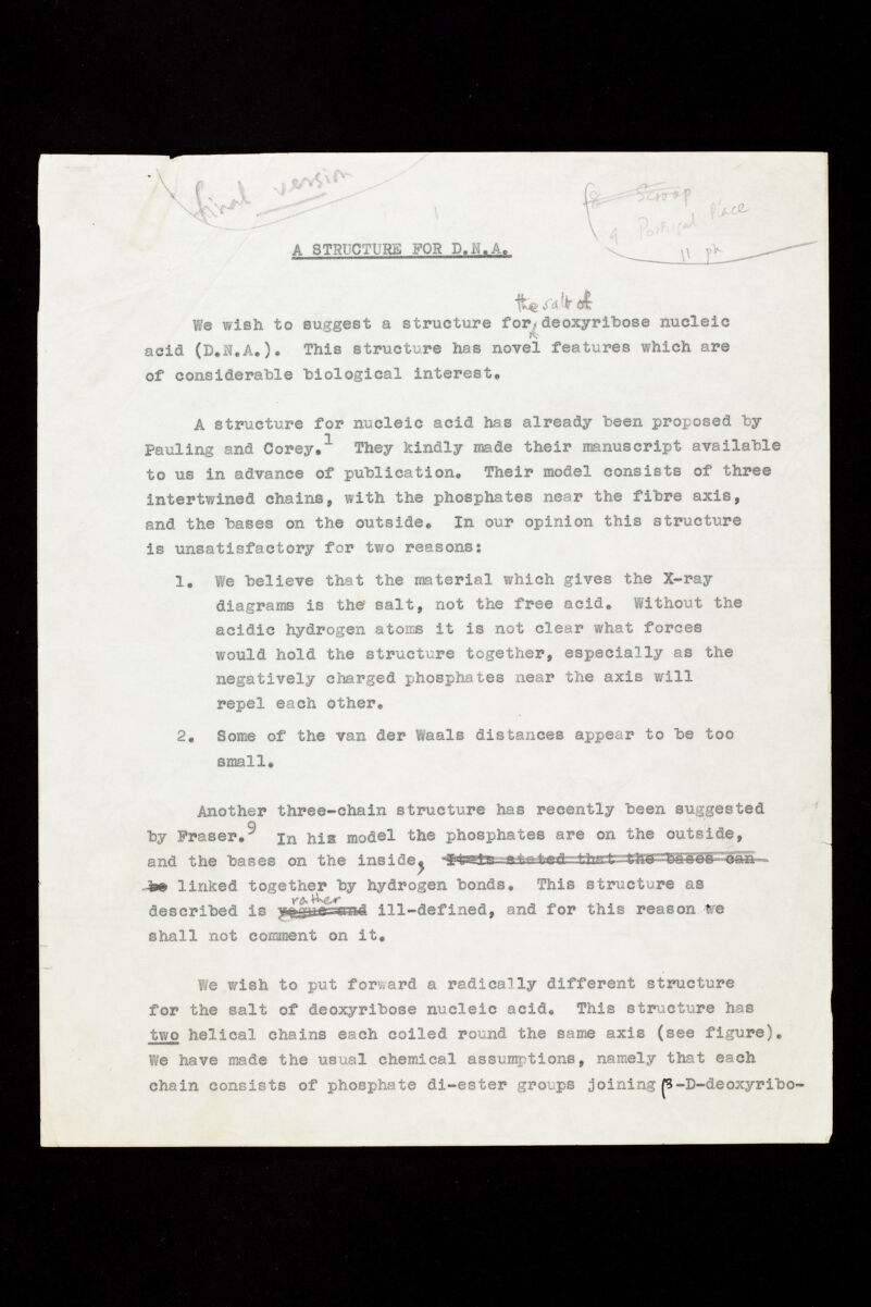 A STRUCTURE POR P.M.A. We wish to suggest a structure for., deoxyribose nucleic acid (D.N.A.). This structure has novel features which are of considerable biological interest. A structure for nucleic acid has already been proposed by Pauling and Corey. 1 They kindly made their manuscript available to us in advance of publication. Their model consists of three intertwined chains, with the phosphates near the fibre axis, and the bases on the outside. In our opinion this structure is unsatisfactory for two reasons: 1. We believe that the material which gives the X-ray diagrams is the salt, not the free acid. Without the acidic hydrogen atoms it is not clear what forces would hold the structure together, especially as the negatively charged phosphates near the axis will repel each other. 2. Some of the van der Waals distances appear to be too small. Another three-chain structure has recently been suggested o by Fraser. in his: model the phosphates are on the outside, and the bases on the inside^ I Hi 11 UU< IVIi'U'ill tii'i'ii .<£» linked together by hydrogen bonds. This structure as described is ill-defined, and for this reason fe shall not comment on it. We wish to put forward a radically different structure for the salt of deoxyribose nucleic acid. This structure has two helical chains each coiled round the same axis (see figure). We have made the usual chemical assumptions, namely that each chain consists of phosphate di-ester grovps joining JS-D-deoxyribo-