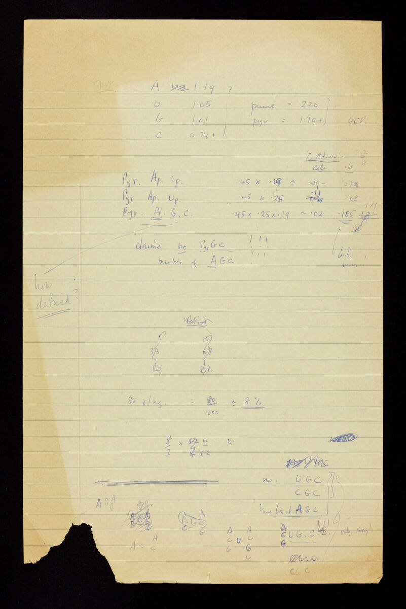 No text description is available for this image