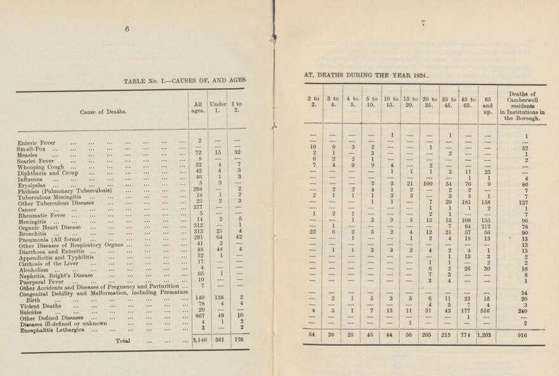7 6 AT, DEATHS DURING THE YEAR 1924. 3 to 4. 4 to 5. 5 to 10. 10 to 15. 15 to 20. 20 to 35. 35 to 45. 45 to 65. 65 and up. Deaths of Camberwell residents in Institutions in the Borough. 2 to 3. Cause of Deaths. All ages. Under 1. 1 to 2. - - - 1 - - 1 1 - - Enteric Fever - - - 2 - - - - - - - - - - - - Small-Pox - - 10 9 3 2 - - 1 - - - 32 Measles 72 15 32 2 1 - 3 - - 2 - - 1 - 8 - - 6 2 2 1 - - - - - - Scarlet Fever 2 22 4 7 Whooping Cough 7 4 9 9 4 - 2 - - - - 42 4 3 - - - 1 1 1 3 11 25 Diphtheria and Croup - - 46 1 3 Influenza - - - - - - - - 1 1 4 5 3 - Erysipelas - - 3 3 21 100 54 76 9 86 - Phthisis (Pulmonary Tuberculosis) 268 - 2 2 2 4 1 2 - 2 2 - 7 - 18 1 2 Tuberculous Meningitis 2 1 1 1 3 3 - 3 5 1 7 25 2 3 Other Tuberculous Diseases - - 1 1 - 7 29 181 158 137 - 377 - - - - - - - 1 1 1 2 1 Cancer - 5 - - Rheumatic Fever 1 2 1 - - - 2 1 - - 7 14 2 5 - 1 3 9 5 15 15 108 155 96 Meningitis - 312 - 1 1 - - - - - 7 64 212 78 Organic Heart Disease - 313 25 4 22 6 2 3 2 4 12 21 57 56 Bronchitis 90 291 64 42 Pneumonia (All forms) - 1 - - 1 2 4 18 13 13 - 41 2 Other Diseases of Respiratory Organs - - - - - - - - - - - 13 48 44 4 Diarrhoea and Enteritis - 1 1 3 3 2 4 2 4 1 13 22 1 Appendicitis and Typhilitis - - - - - - - 1 13 3 2 - 17 - - Cirrhosis of the Liver - - - - - - 1 1 - 2 2 4 - - Alcoholism - - - - - - 6 2 26 30 16 Nephritis, Bright's Disease 65 1 - - - - - - 7 3 - - 8 - 10 - - Puerperal Fever - - - - - - 3 4 - - 1 7 - - Other Accidents and Diseases of Pregnancy and Parturition Congenital Debility and Malformation, including Premature Birth - - - - - - - - - 34 - 140 138 2 2 - 5 3 5 6 11 22 15 20 - 78 4 4 Violent Deaths - - - - - 4 5 7 4 3 - 20 - - 4 5 1 7 13 11 31 43 177 516 240 Suicides 867 49 10 Other Defined Diseases - - - - - - - - 1 - - 4 1 2 Diseases ill-defined or unknown - - - - - 1 - - - - 2 3 - 2 Encephalitis Lethargica 54 36 25 45 44 56 205 215 774 1,203 916 Total 3,146 361 128