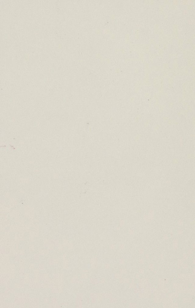 digitised image 2