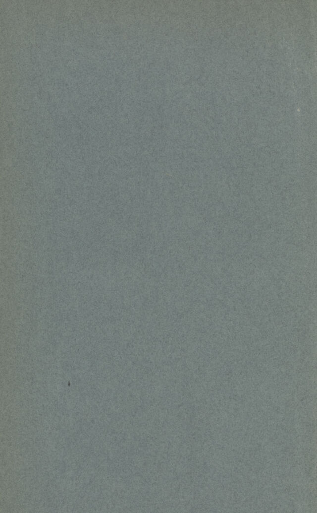 digitised image 2