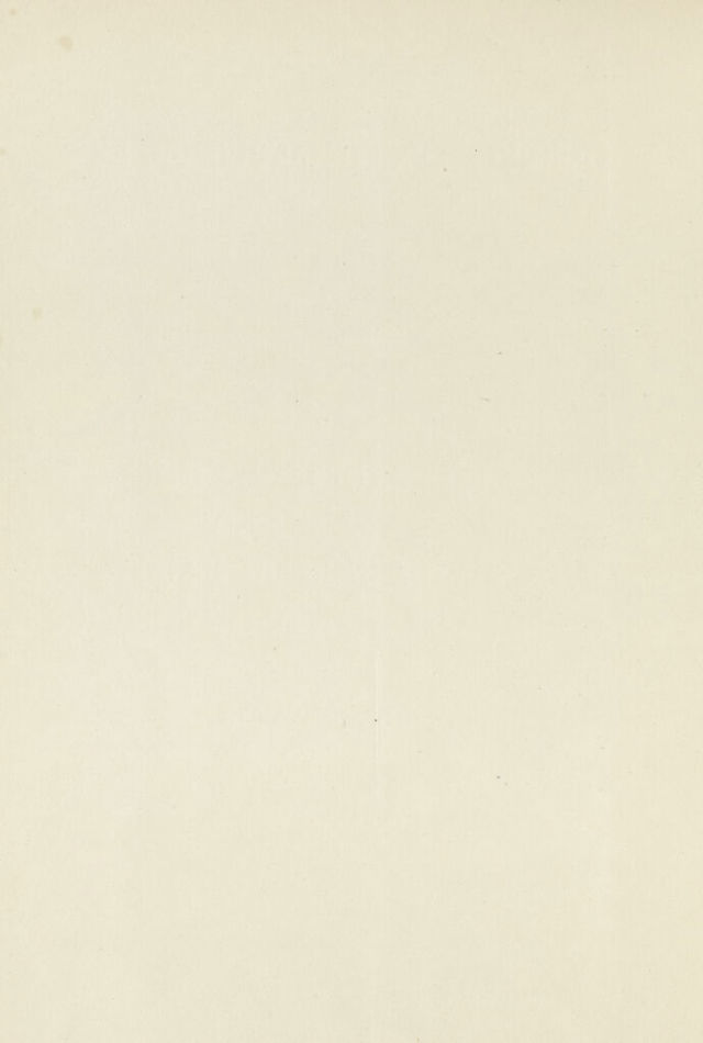 digitised image 2
