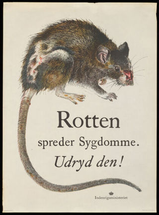 A diseased rat with scabs and blood, and a long tail; campaign against rats in Denmark. Colour lithograph, 194-(?).