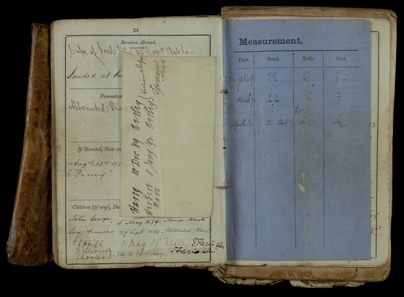 No text description is available for this image