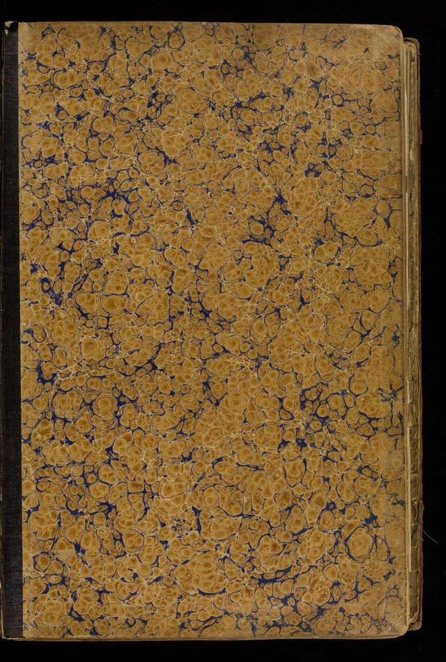 digitised image 3