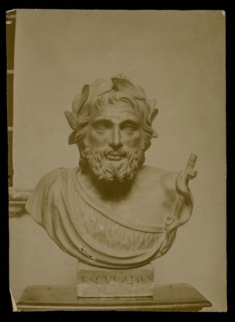 No text description is available for this image