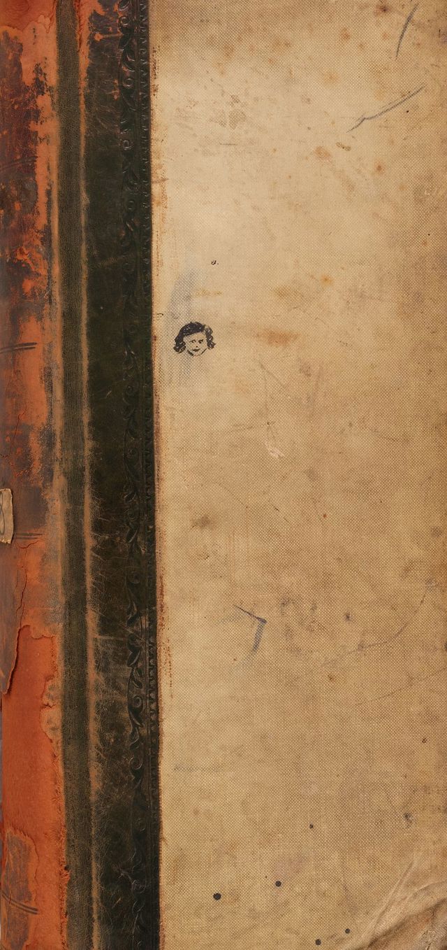 No text description is available for this image