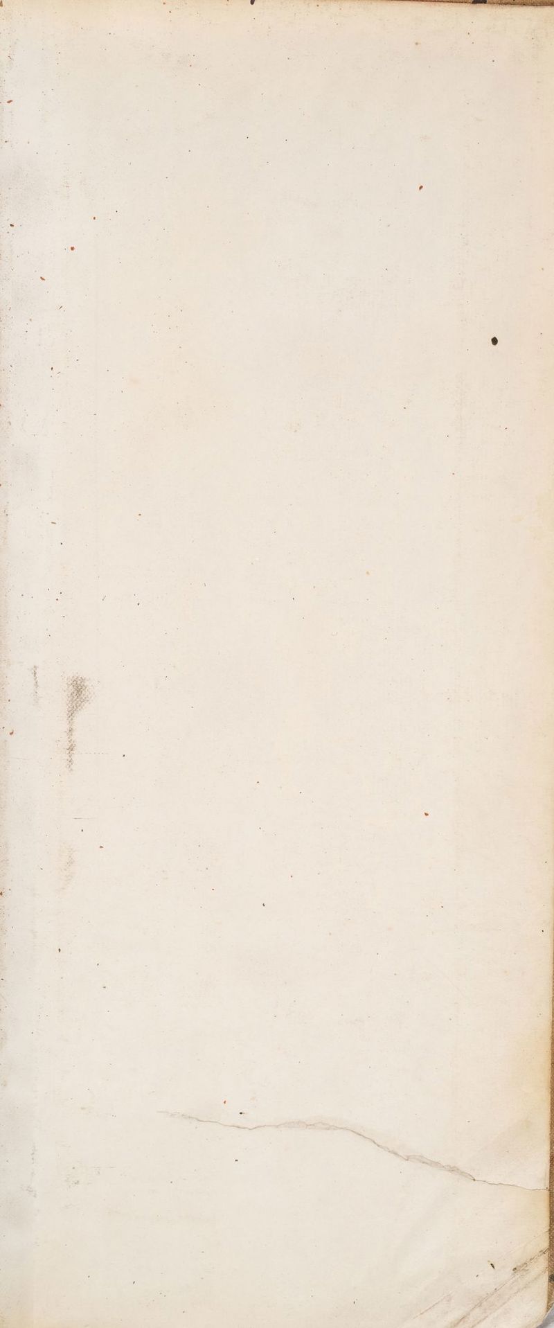 ’ * , - : > id x . . a ¥ 5 ’ : 5 » es A . ‘ my , i ) : ty >. etn M4 te fae si ‘ . ~  Ba a . ¥ .