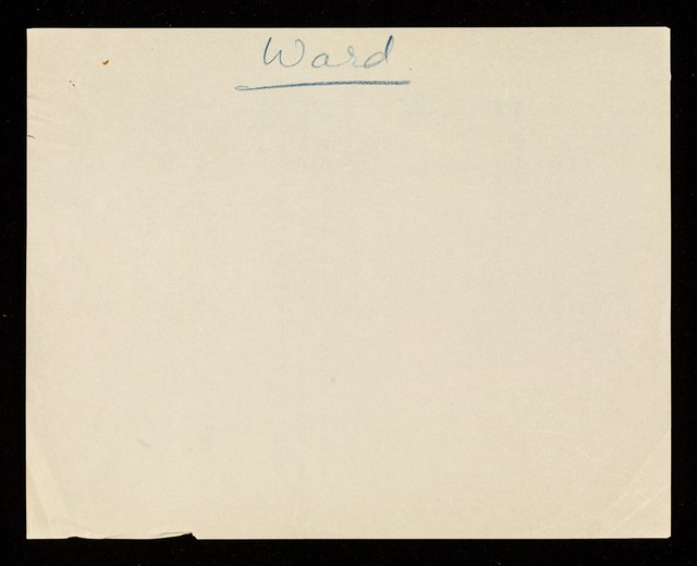 digitised image 2
