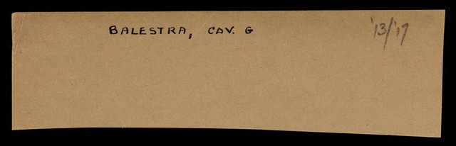 digitised image 1