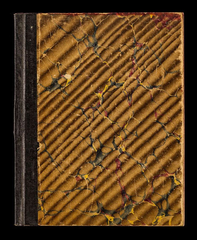 No text description is available for this image