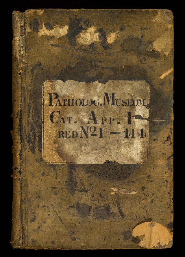 digitised image 2