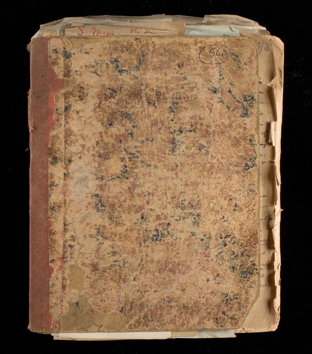 No text description is available for this image