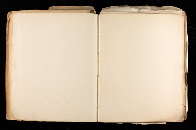 No text description is available for this image