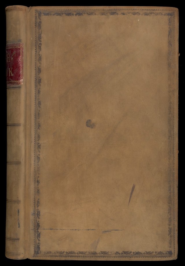 No text description is available for this image