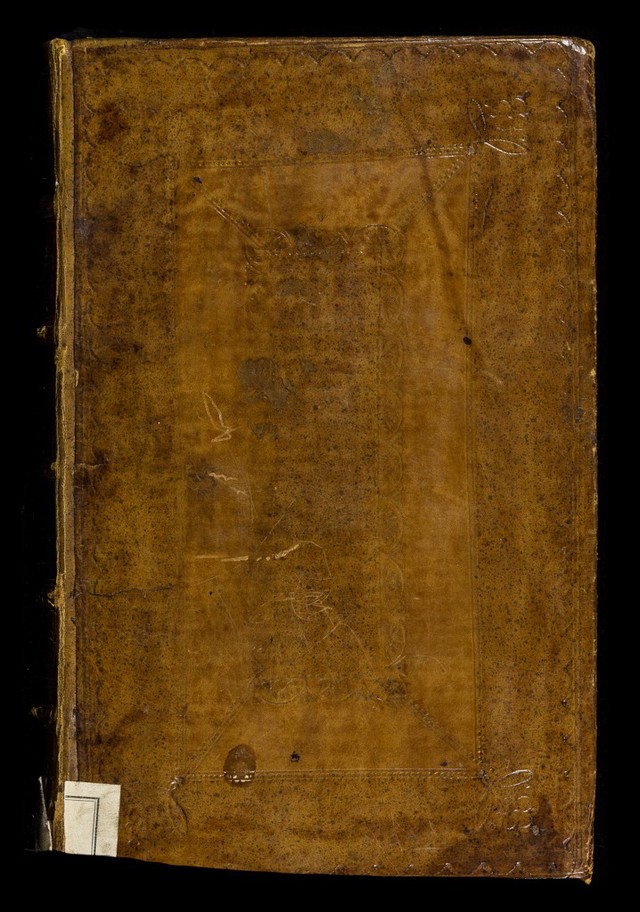 No text description is available for this image