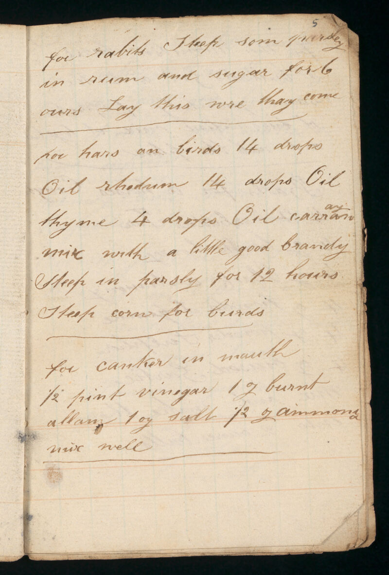 No text description is available for this image