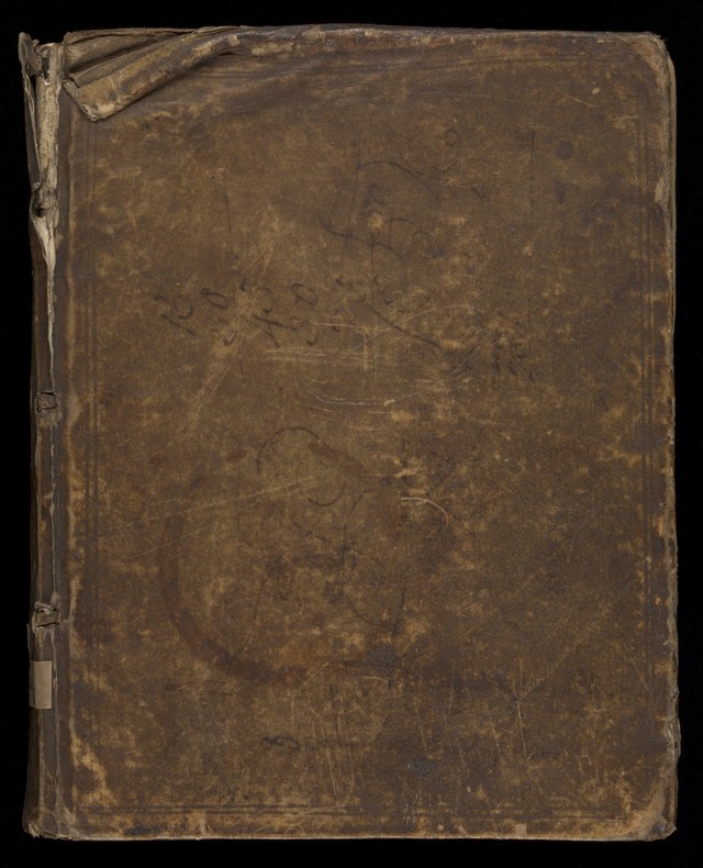 No text description is available for this image