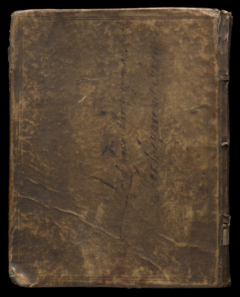 No text description is available for this image