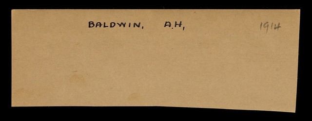 digitised image 1