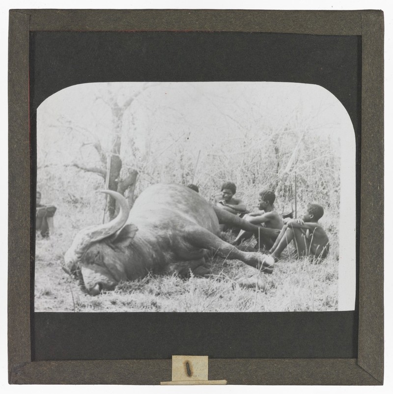 No text description is available for this image