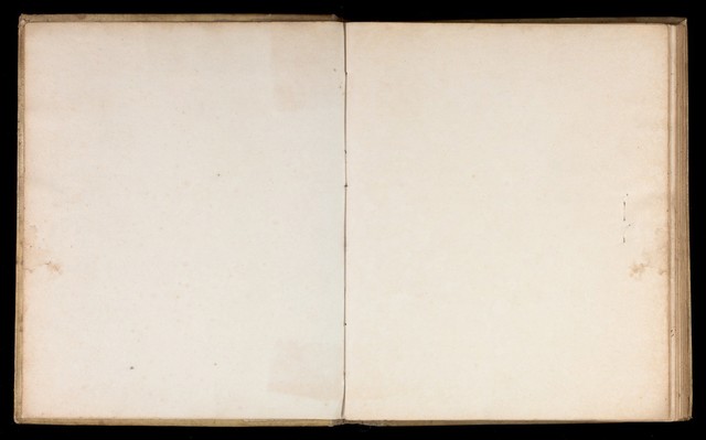 digitised image 3
