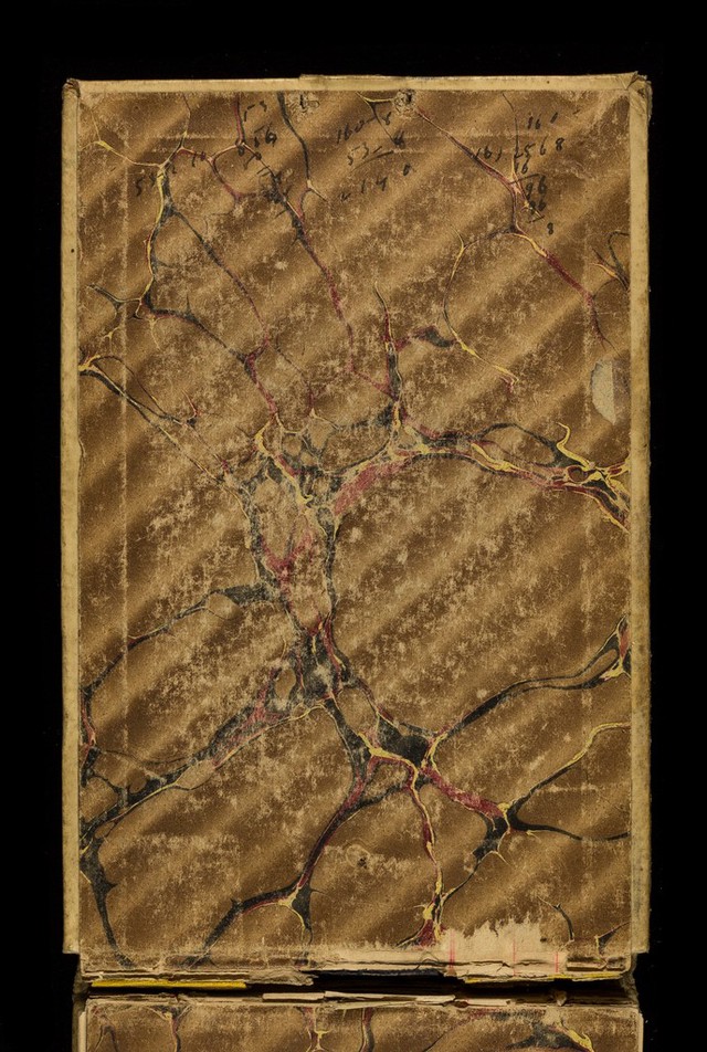 No text description is available for this image