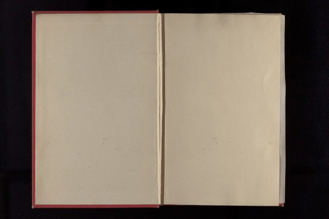digitised image 2
