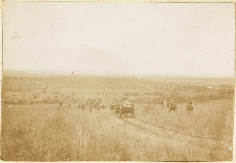 No text description is available for this image