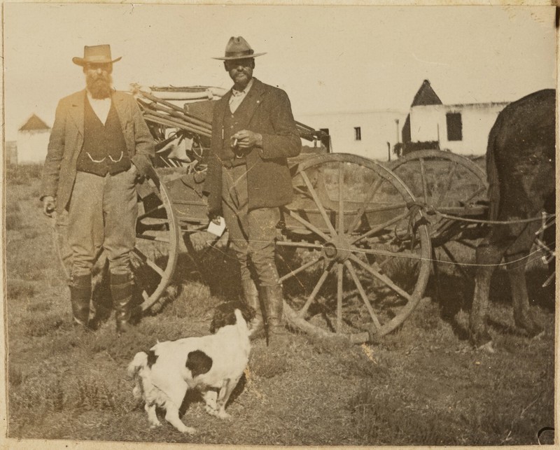 No text description is available for this image