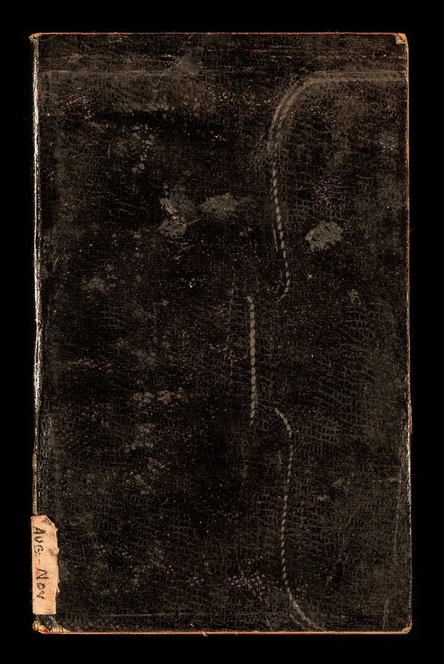 No text description is available for this image