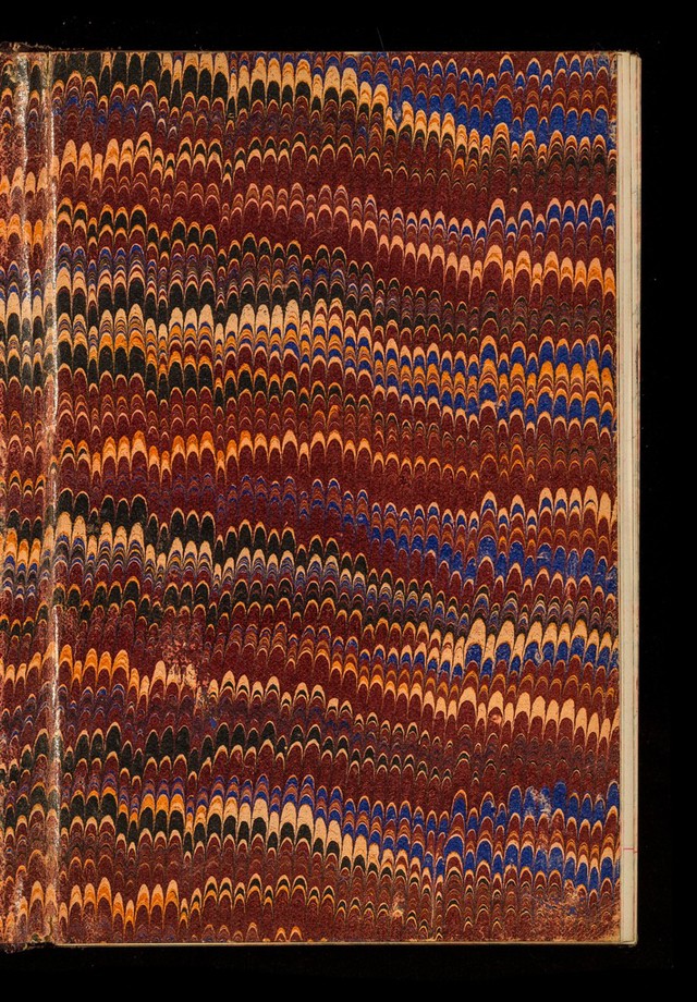 No text description is available for this image