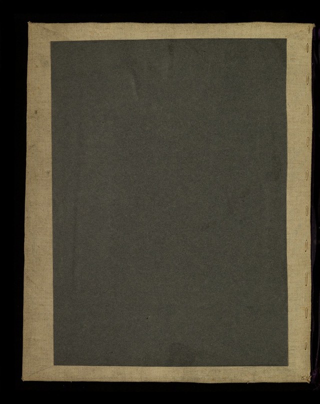 digitised image 2