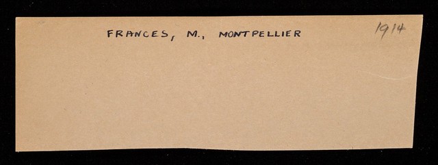 digitised image 1