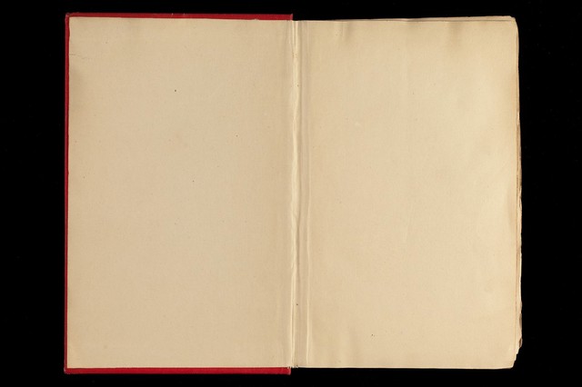 digitised image 2