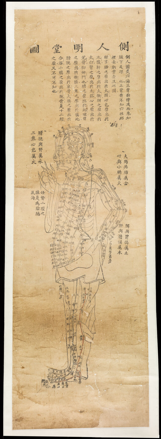 digitised image 1
