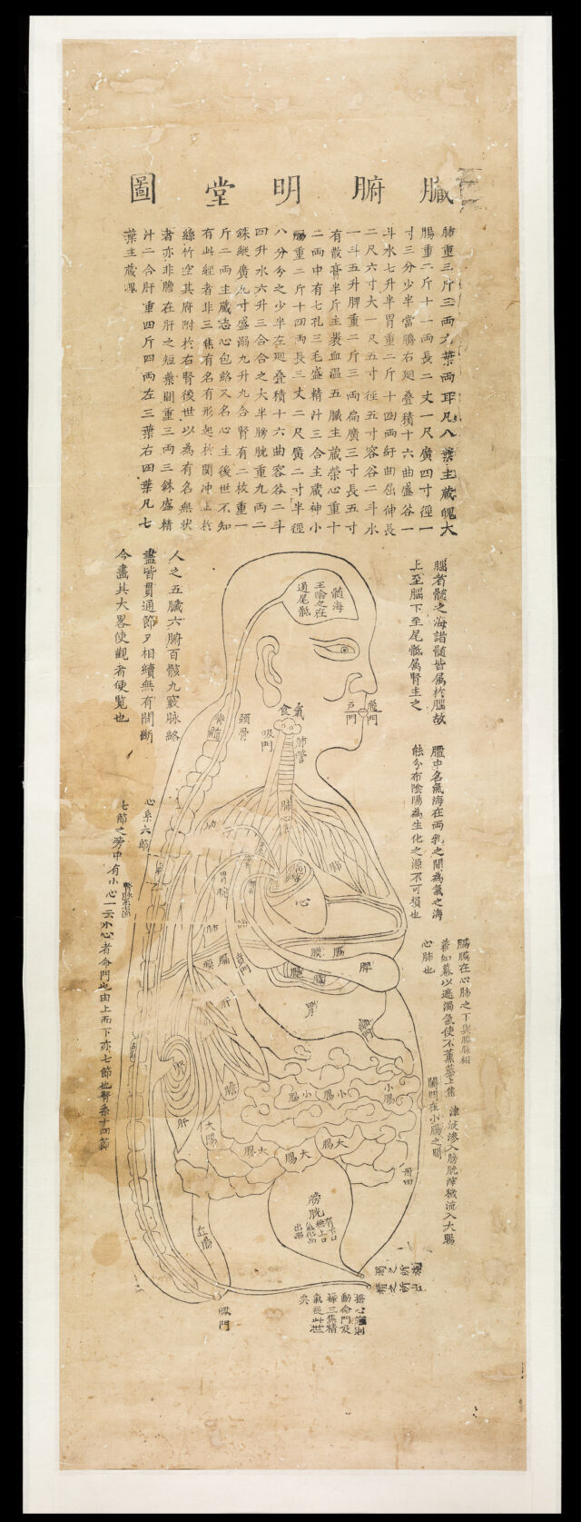digitised image 2