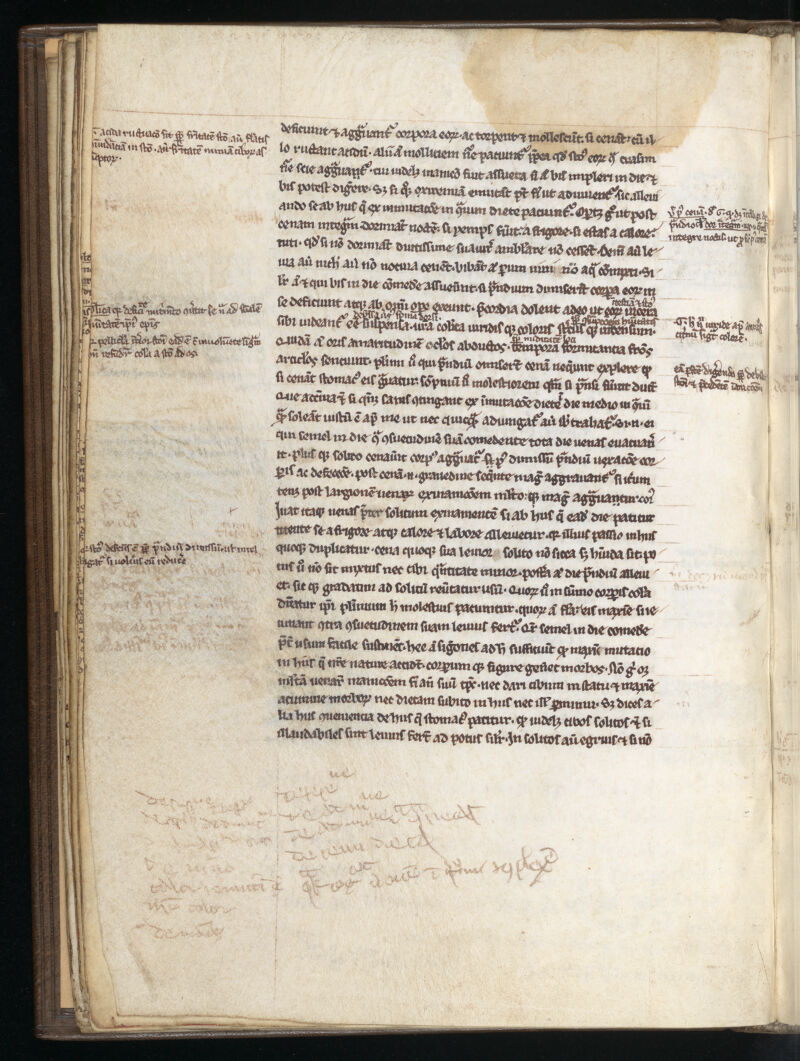 No text description is available for this image